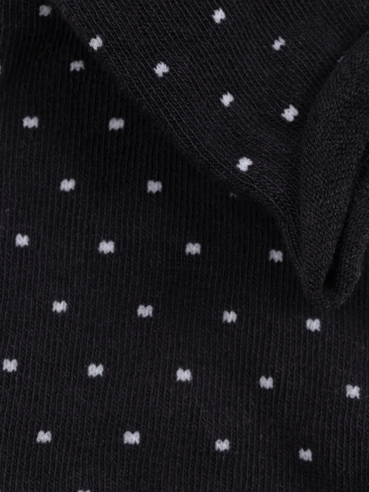 Bas - Image 4