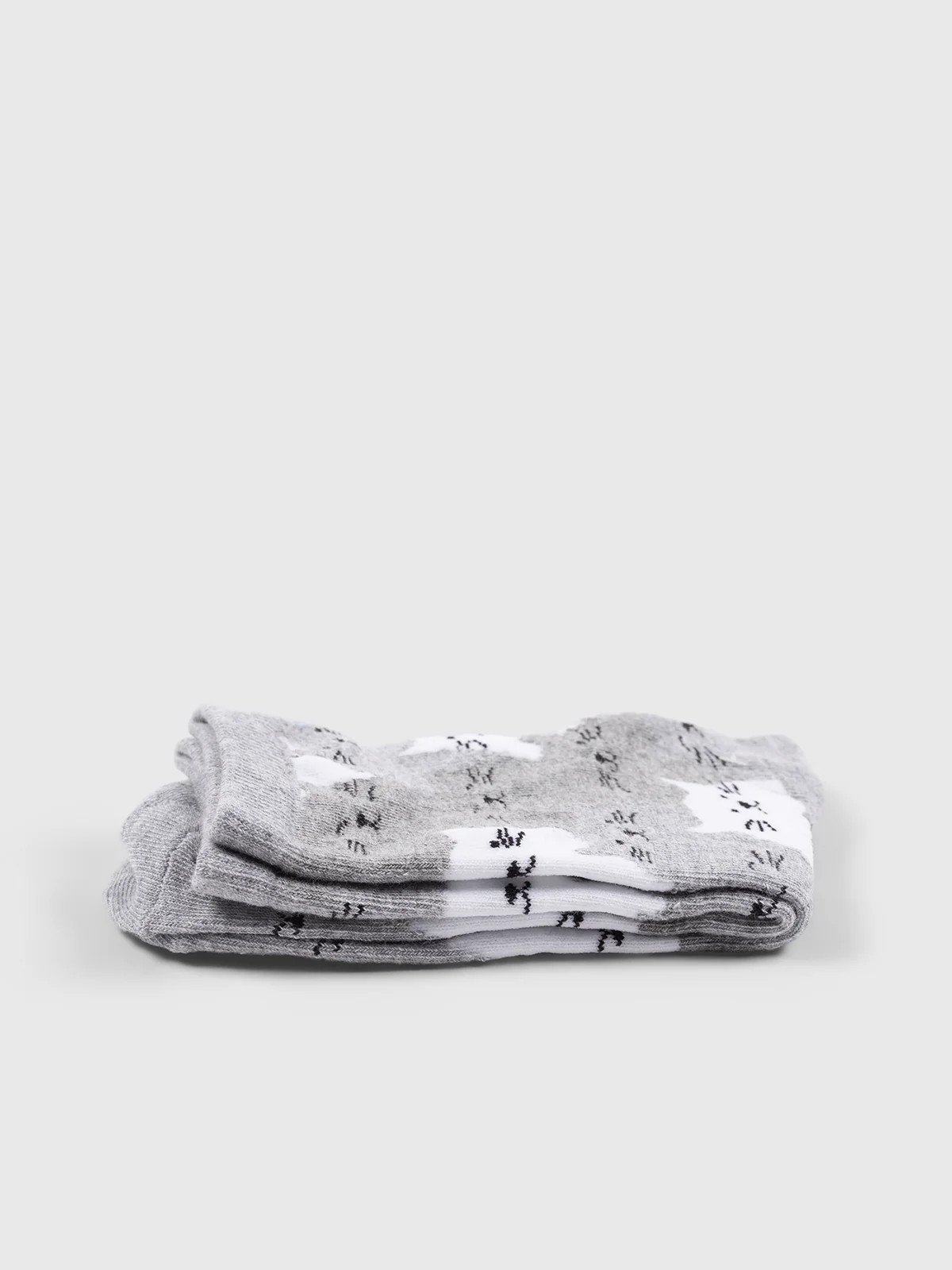Bas - Image 3