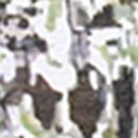 Blouse à manches courtes avec boutons - Image 4