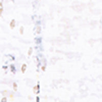 T-shirt à manches courtes - Image 4